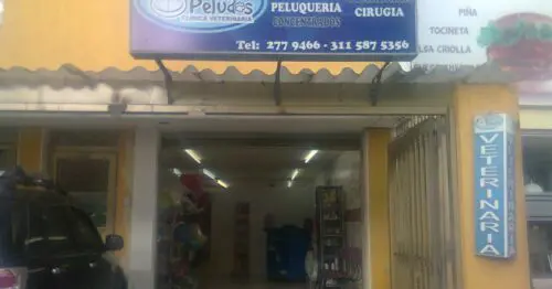 AMIGOS PELUDOS AMIGOS PELUDOS